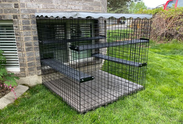 Small cat enclosure online