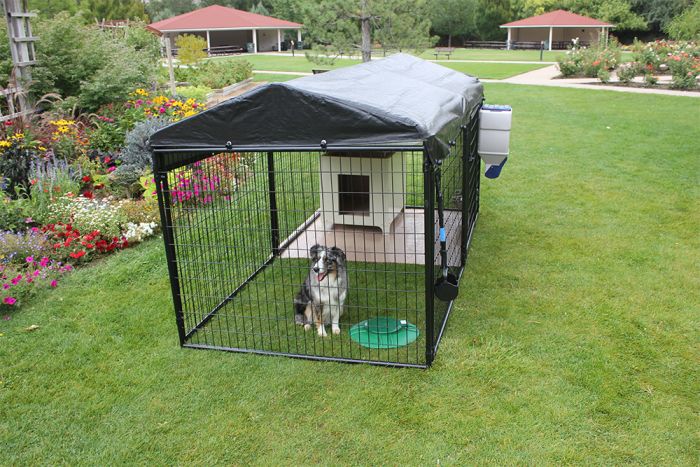 tall dog cage