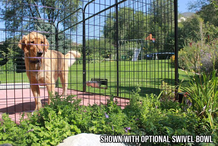 Temporary outdoor dog kennel store