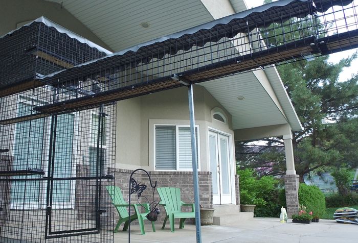 Catio tunnel hotsell