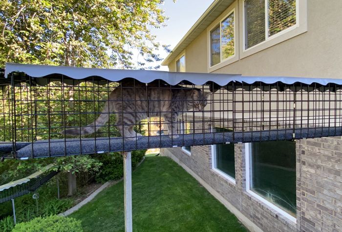 Cat tubes for outside shop