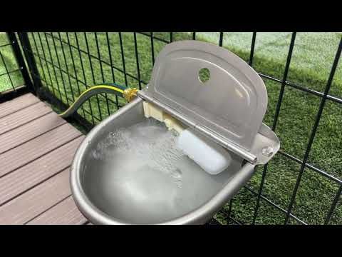 Stainless Steel Auto Water Bowl & Hose Hook Up