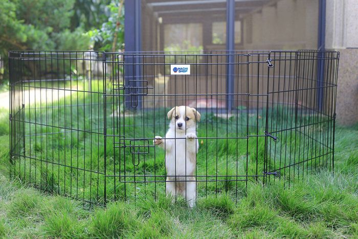 24 exercise pen top