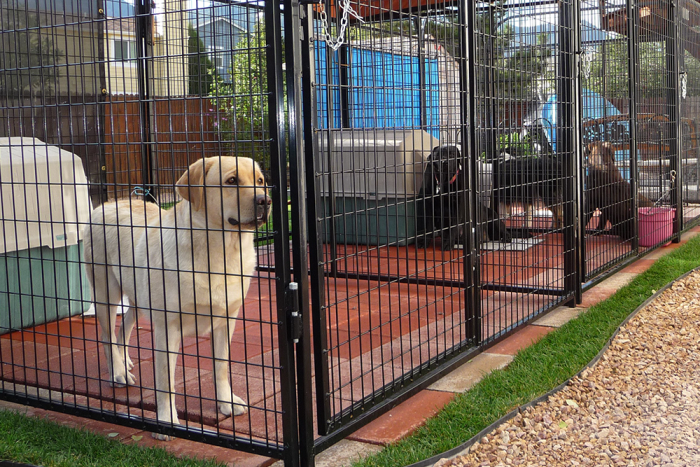 Retriever lodge kennel accessories on sale