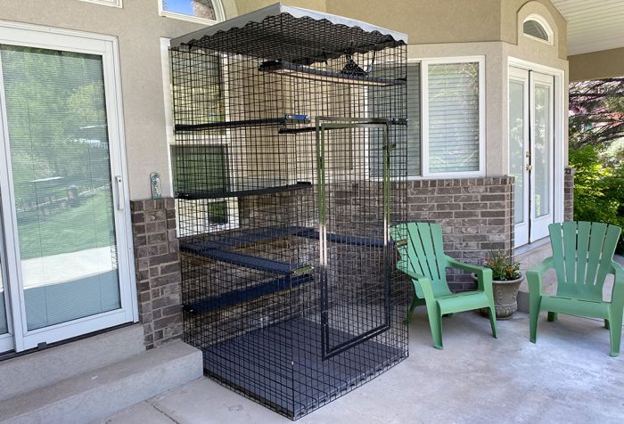 Outside cat pen clearance