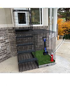 48" X 48" X 46" Tall Wire Outdoor Dogio Potty Station & Stairs For Window Access