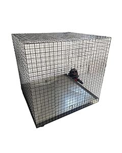 4' X 4' Quick N Clean Dog Crate