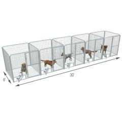  6' X 6' Multiple PRO Full Stall Dog Kennels x5