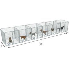  6' X 6' Multiple PRO Full Stall Dog Kennels x6
