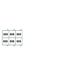  8' X 8' Multiple 7' Tall Back To Back Dog Kennels x3