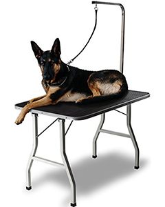 Dog Grooming Table