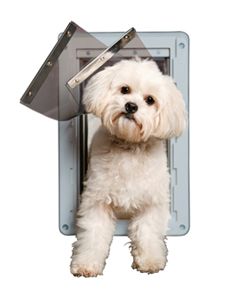 Designer Series Ruff-Weather™ In Door Pet Door