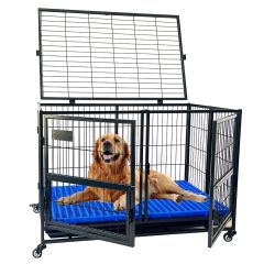Value Cage Bank (Podercoated)