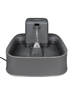2 Gallon Drinking Fountain