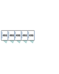 4' X 6' Multiple Standard Full Stall Dog Kennels x5