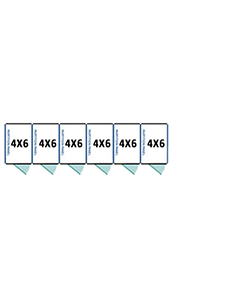 4' X 6' Multiple Standard Full Stall Dog Kennels x6