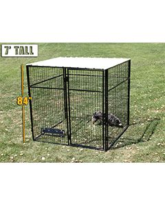 8' X 8' Complete 7' Tall Dog Kennel (Powder-Coated)