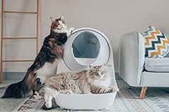 Luxury PRO-X Smart Cat Litter Box