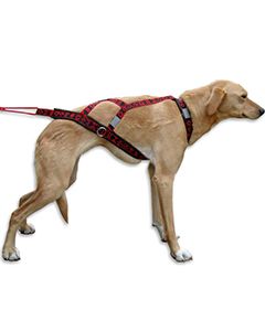 Dog Scooter Harness