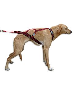 Dog Scooter Harness (Clearance)