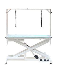 LED Lit Master Groomer Electric Lift Table (Basic Package)