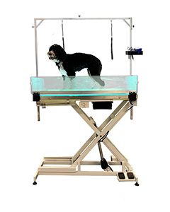 LED Lit Master Groomer Electric Lift Table (Complete Package)