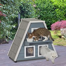 Outdoor Cat House