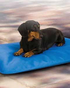  Cool Bed Thermoregulating Pet Bed