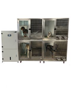 Quick N Clean AutoWash Double Stack Stainless Steel Kennel System