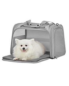 Pet Carrier - Airline Approved