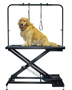 Economy Electric Lift Grooming Table