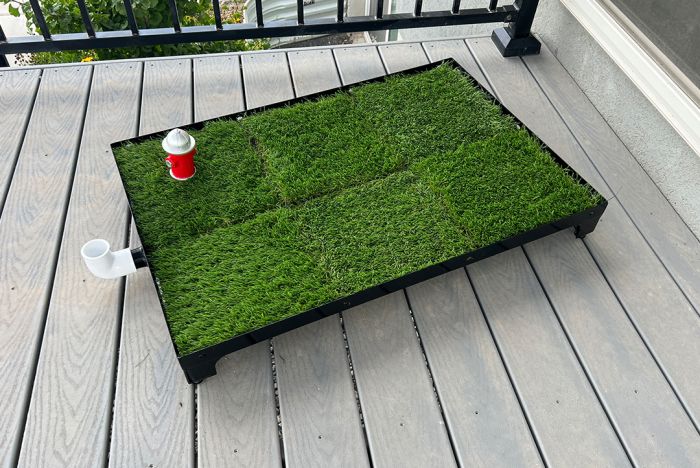 Indoor Dog Dog Potty With Drain For Balcony Indoor Pad Puppy Potty