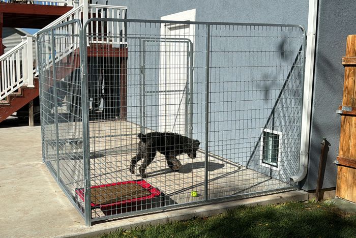 Outdoor Dog Kennels 6x10 Kennel Panel Single Dog Kennel Panels Dog Kennel  Welded Wire Mesh Roof Panel