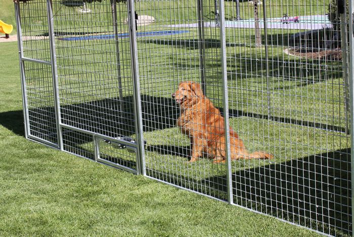 6' X 18' Basic Dog Kennel Pro (Galvanized)