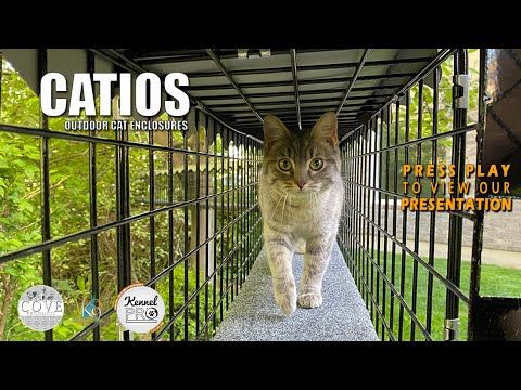 Outdoor Catio Tunnel