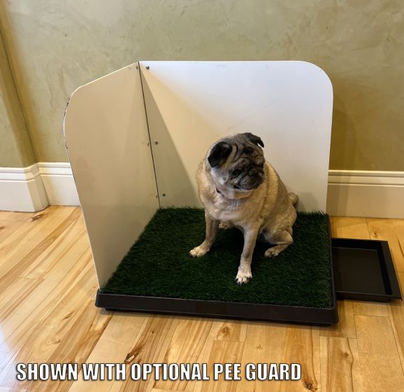 Patio Ideas Apartment Dog Potty Solutions Large Real Grass Pad Dog