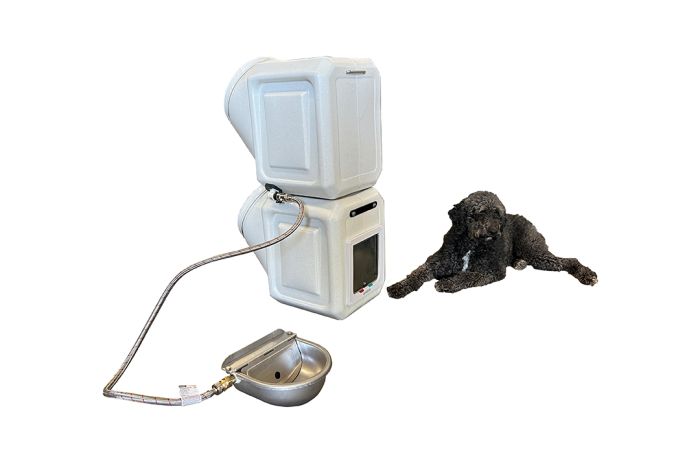 automatic cat litter box cheap Self Cleaning Litter Box for Multiple Cats  Automatic Cat Litter Box  Dog  Pawshop