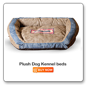 Plush Dog Beds