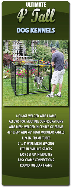 Ultimate 4 Tall Dog Kennels
