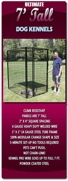 Ultimate 7 Tall Dog Kennels
