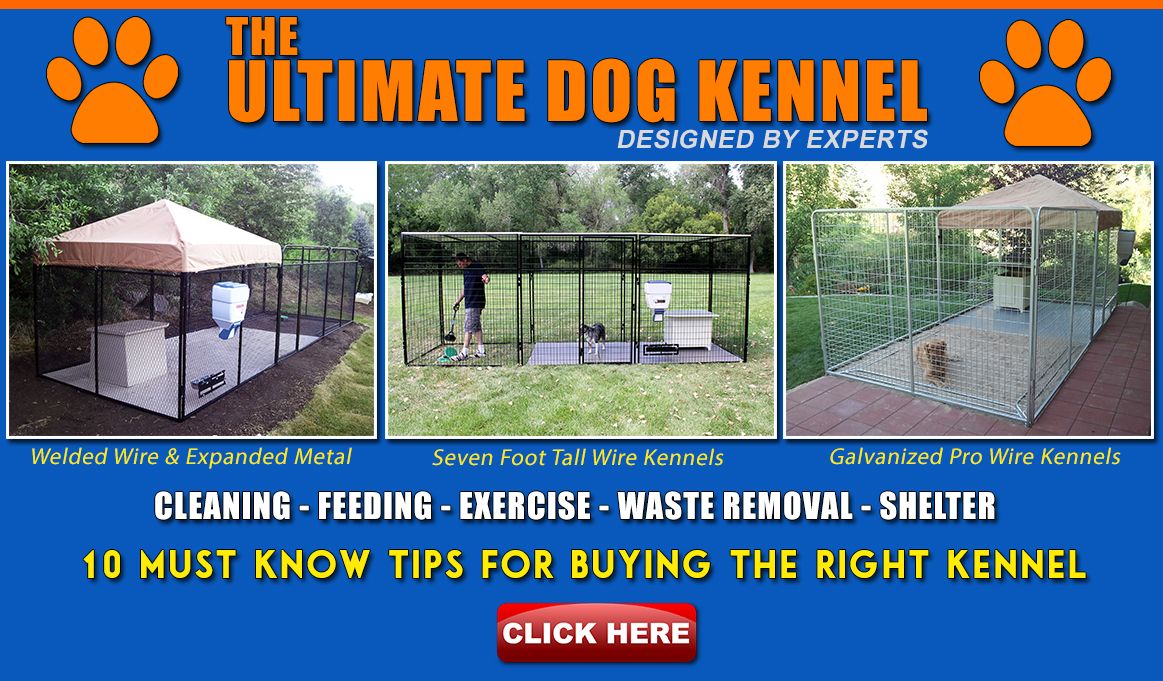The Ultimate Dog Kennel 