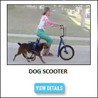 Dog Exercise Scooter