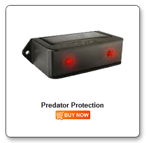 Kennel Predator Protection